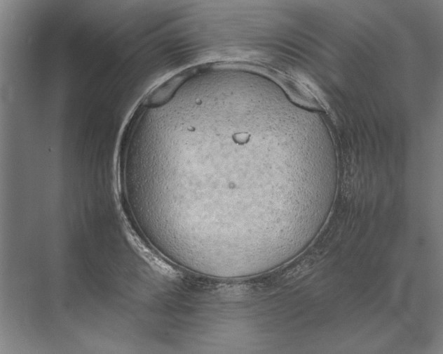 X0000074971080200609221817