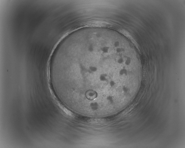 X0000074971083200609221817