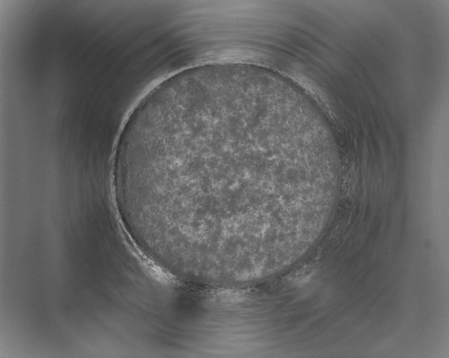 X0000074971086200609221817