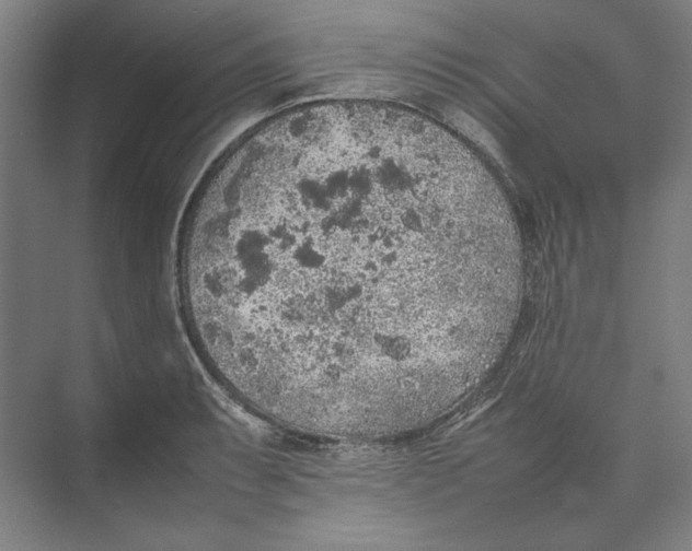 X0000074971087200609221817