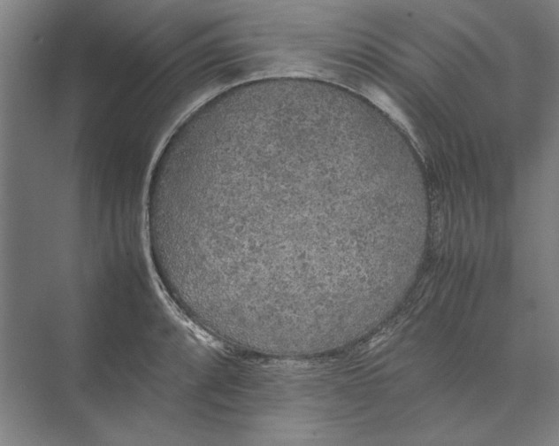 X0000074971088200609221817