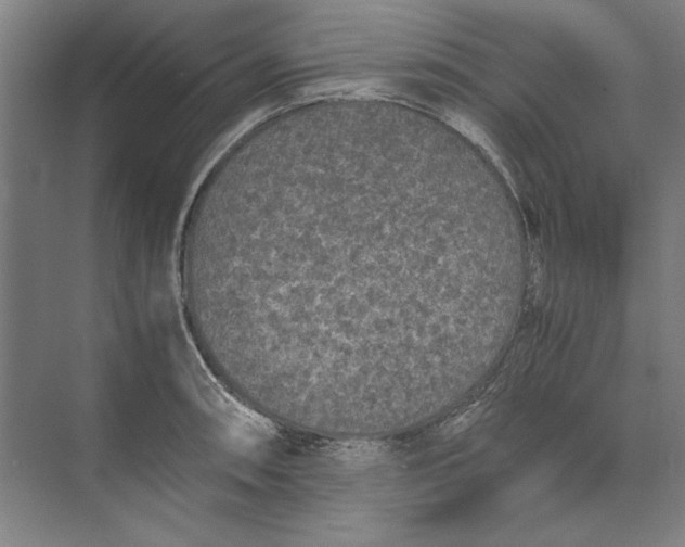 X0000074971090200609221817