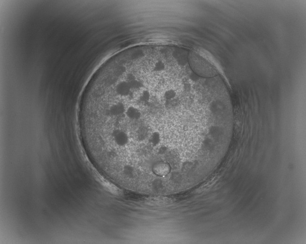 X0000074971091200609221817