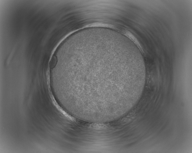 X0000074971092200609221816