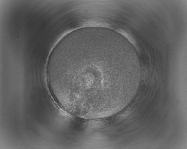 X0000074971094200609221816