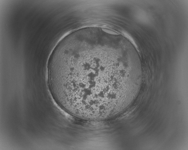 X0000074971095200609221816