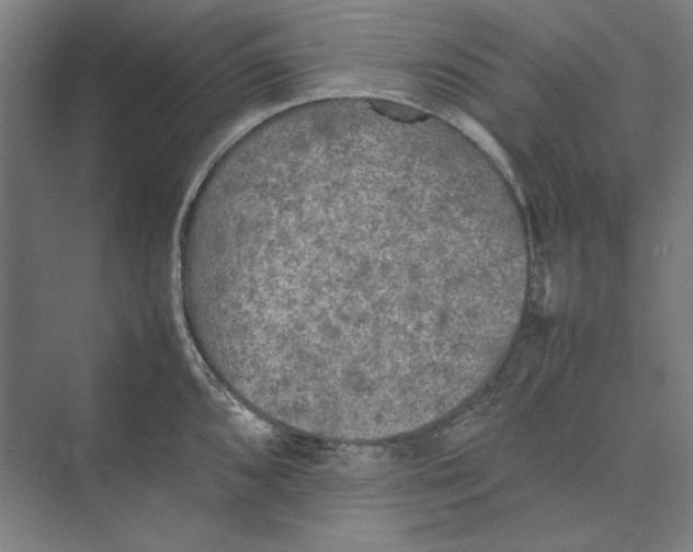 X0000074971096200609221816