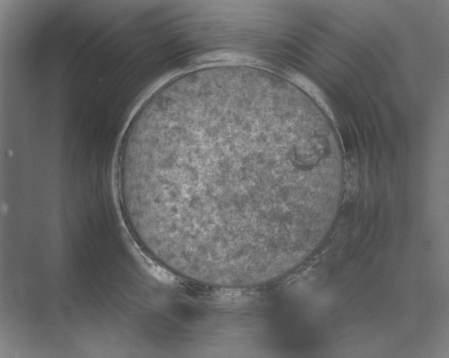 X0000074971098200609221816