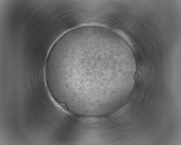 X0000074971100200609221816