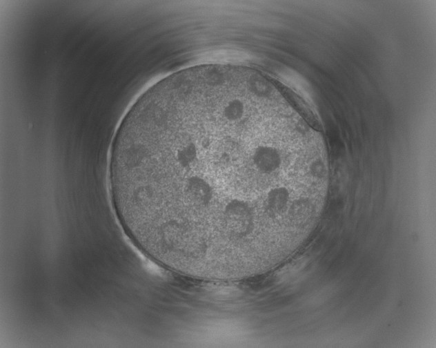 X0000074971103200609221816