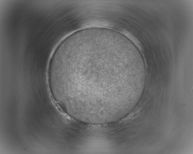 X0000074971104200609221816