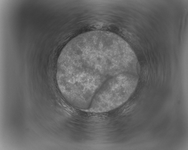 X0000074971105200609221815