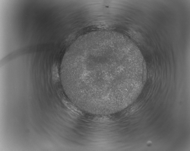 X0000074971106200609221815