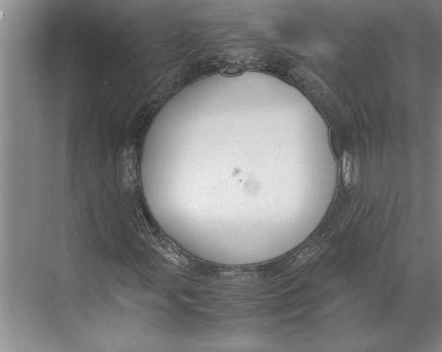 X0000074971107200609221816