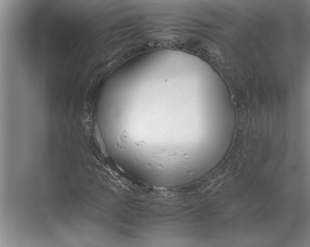 X0000074971109200609221816