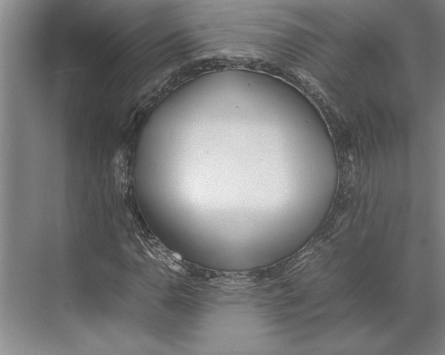 X0000074971110200609221816