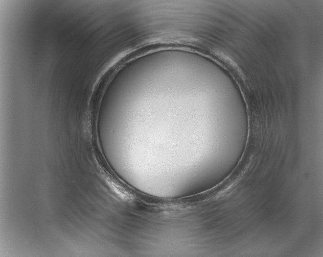 X0000074971114200609221816