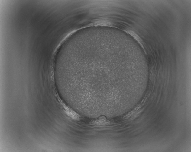 X0000074971115200609221816