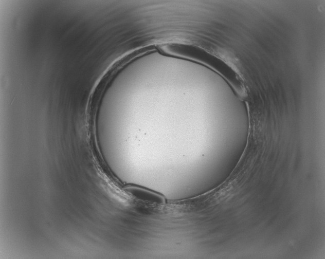 X0000074971116200609221816