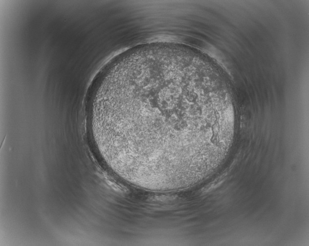 X0000074971117200609221816