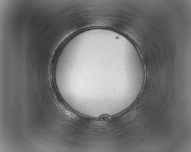 X0000074971119200609221816