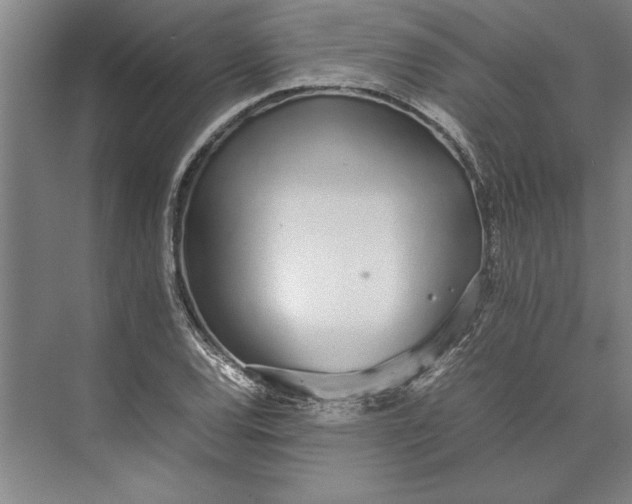 X0000074971120200609221816