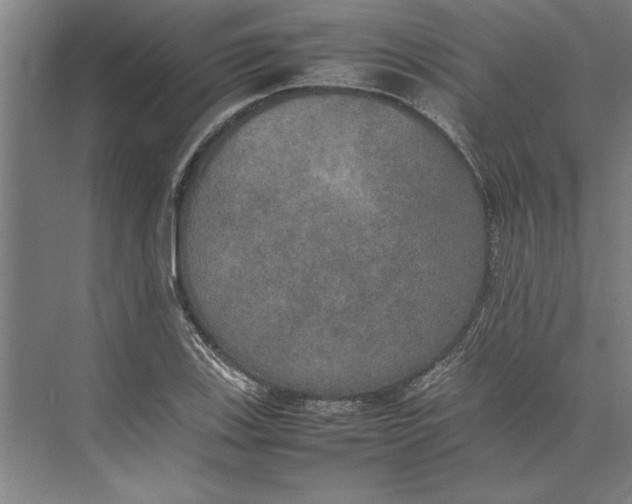 X0000074971123200609221816