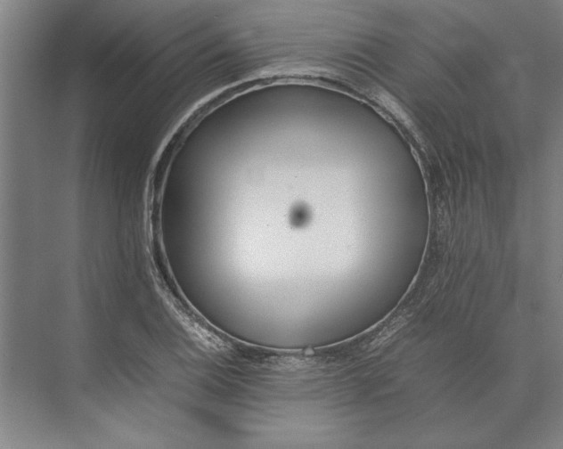 X0000074971124200609221816