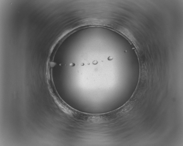 X0000074971128200609221816