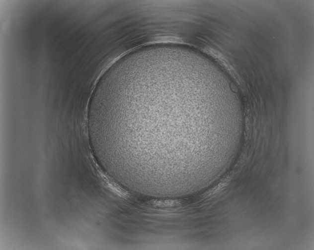 X0000074971129200609221816