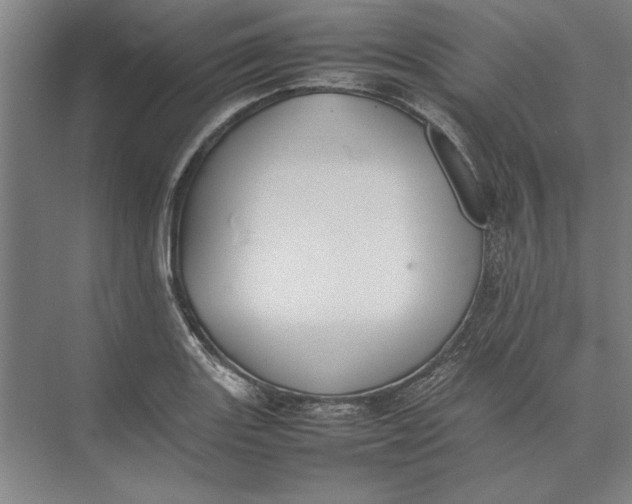 X0000074971131200609221816