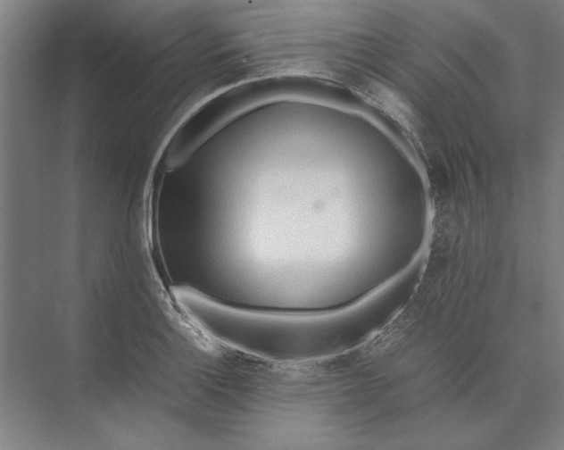 X0000074971132200609221816