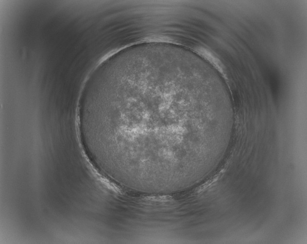 X0000074971133200609221816