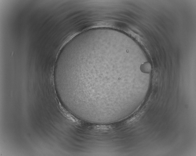 X0000074971137200609221816