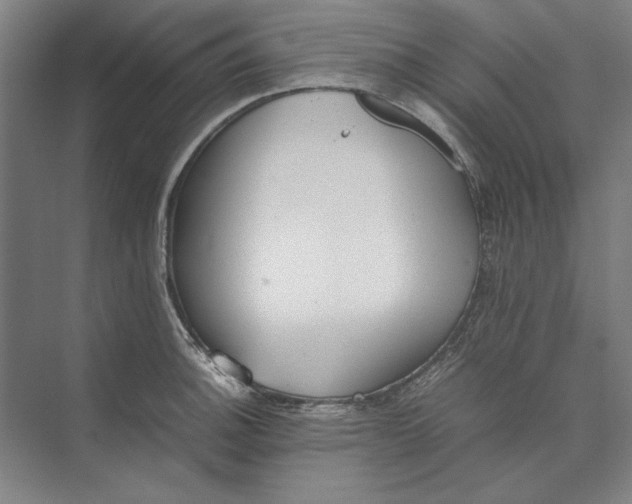 X0000074971140200609221816