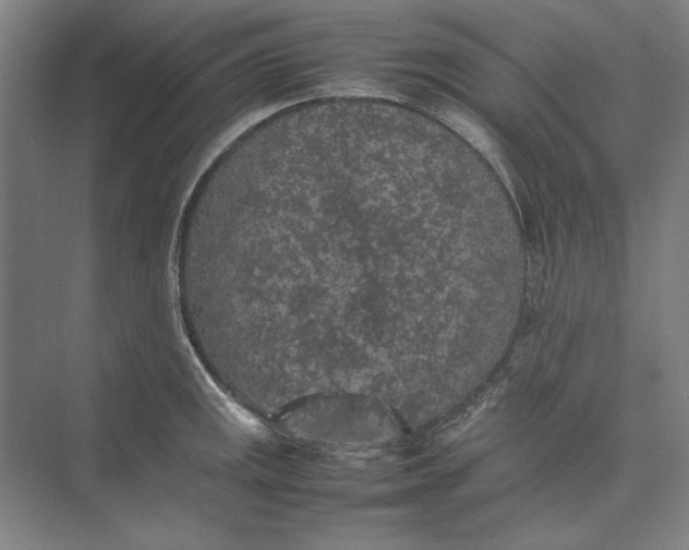 X0000074971141200609221816