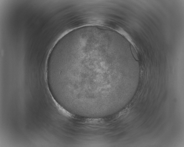 X0000074971143200609221816