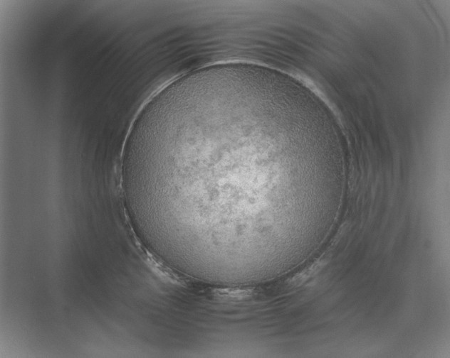 X0000074971145200609221816