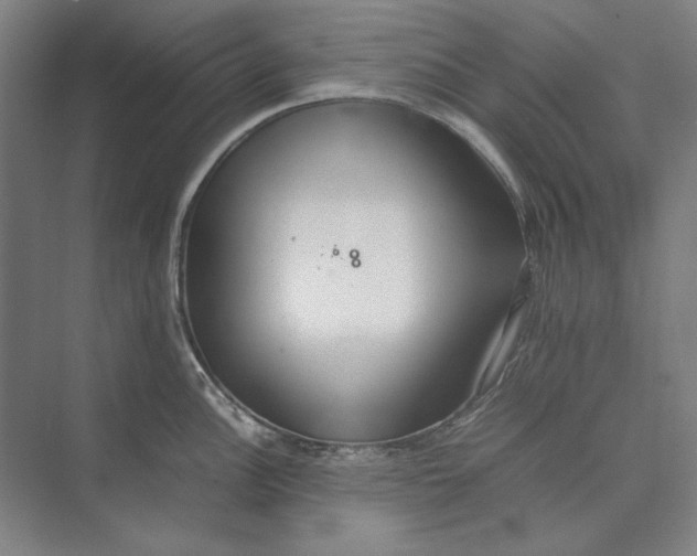 X0000074971148200609221816