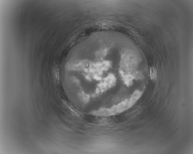 X0000074971155200609221815