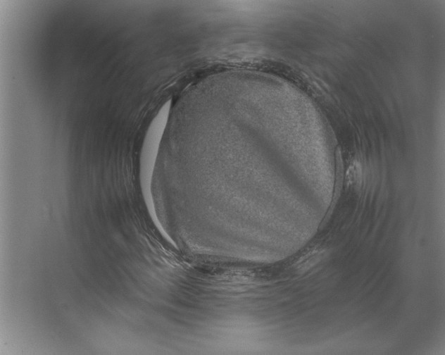 X0000074971156200609221815