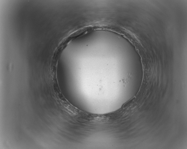 X0000074971160200609221815