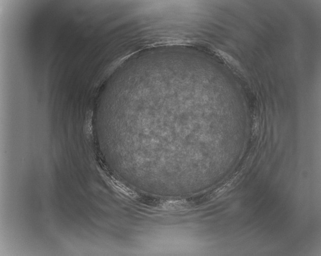 X0000074971161200609221815