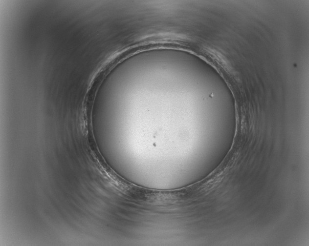 X0000074971164200609221815