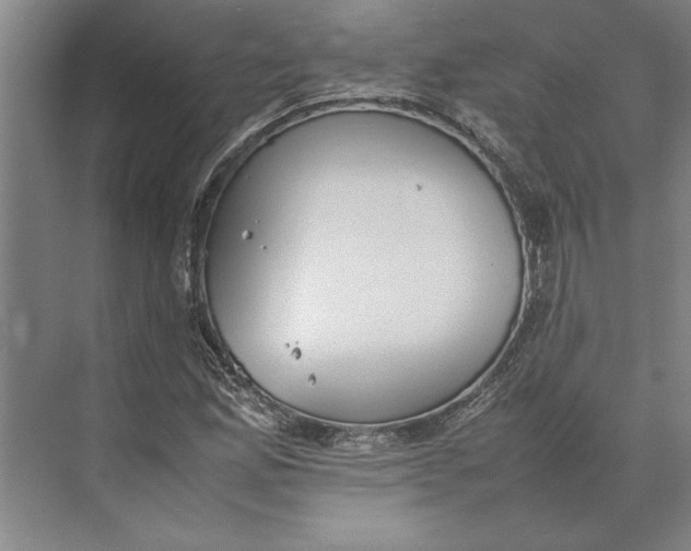 X0000074971165200609221815