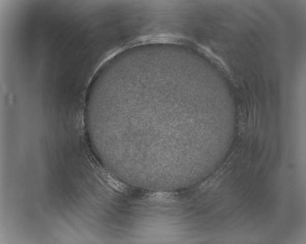 X0000074971166200609221815