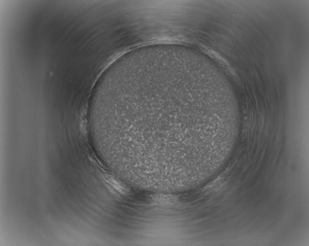 X0000074971170200609221815