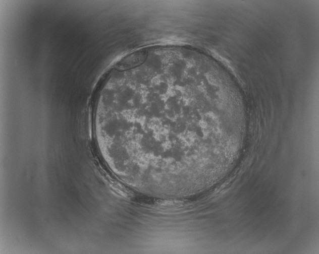 X0000074971171200609221815