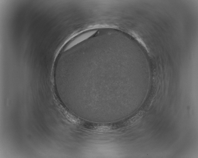 X0000074971173200609221815