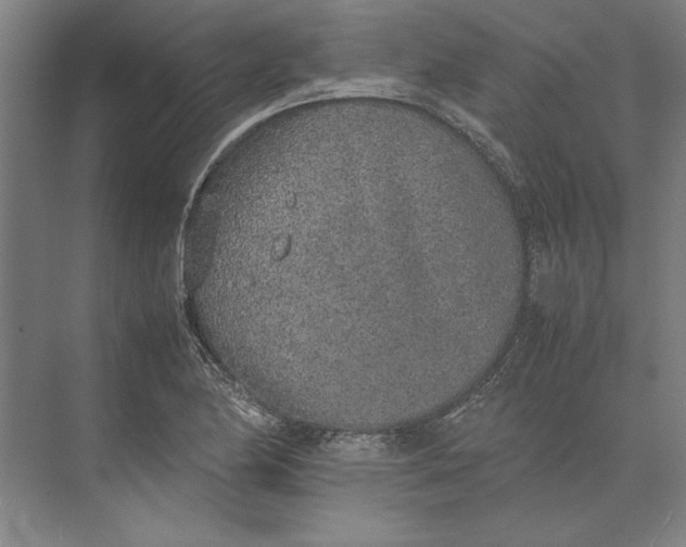 X0000074971174200609221815